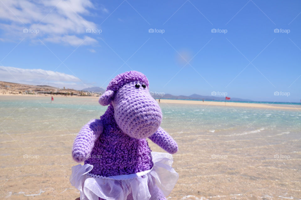 violet sheep on vacation