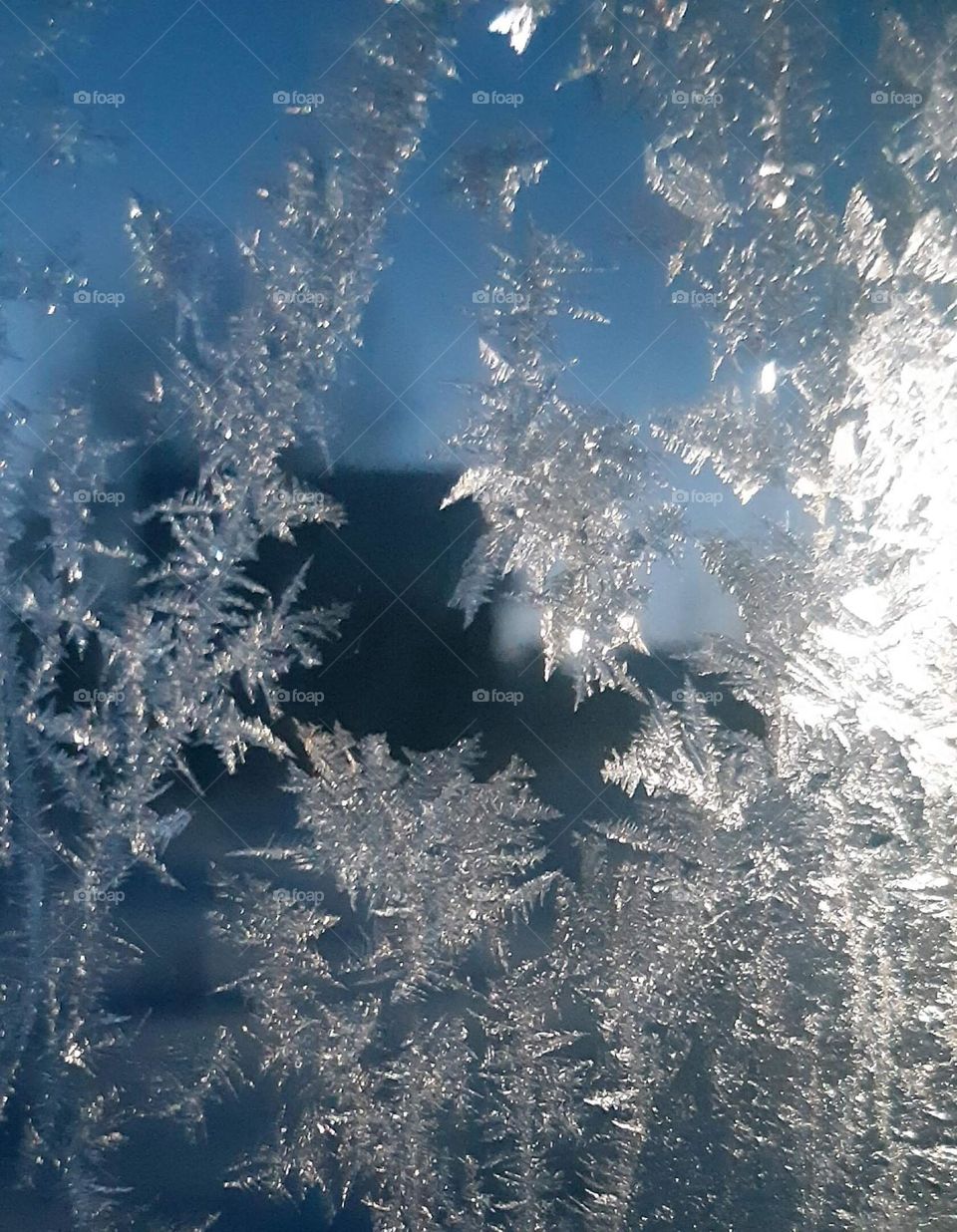 Frosty patterns on the windows