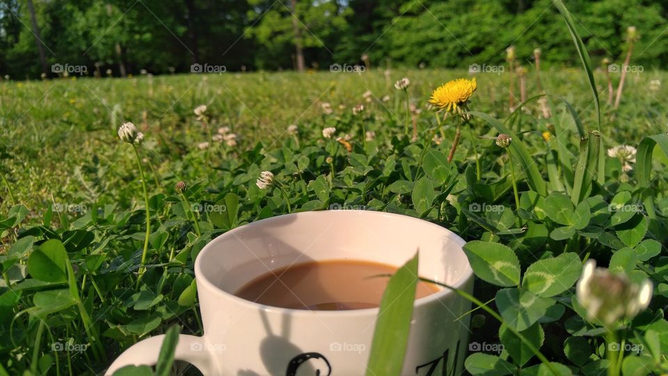 Morning Coffee with the Sun