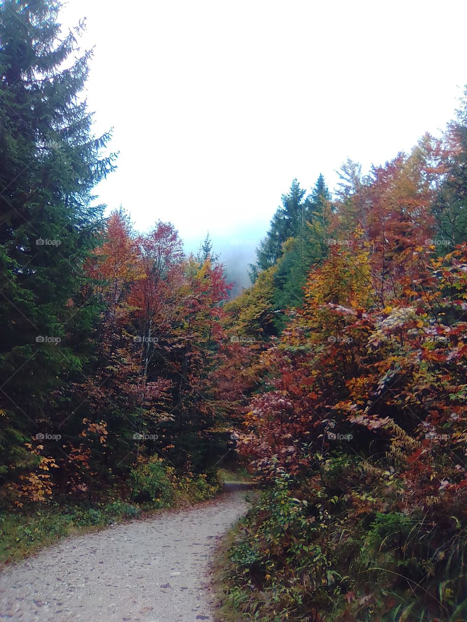 Autumn hike