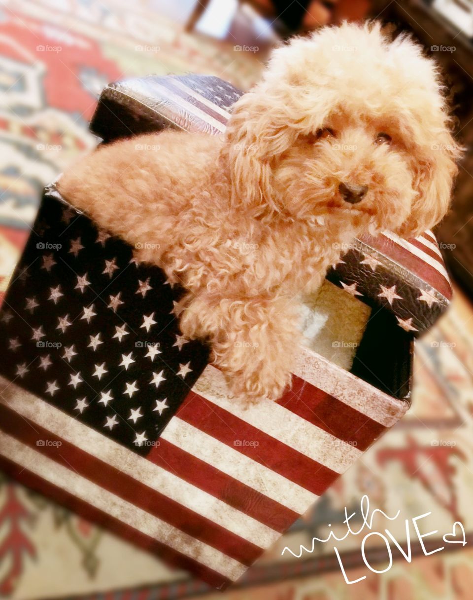 Having some fun the afternoon