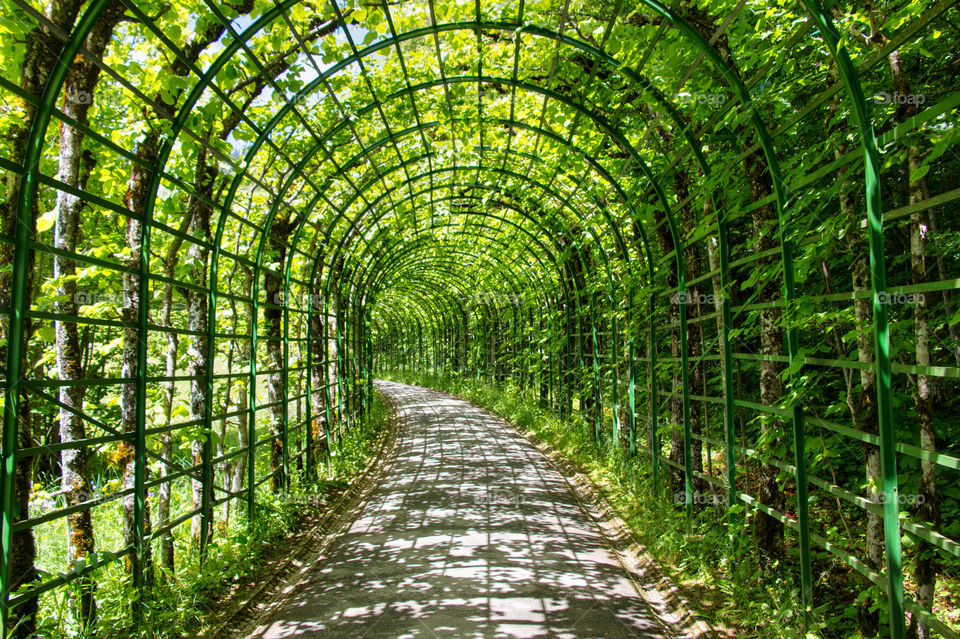 Arched trellis at schloss linderhof 