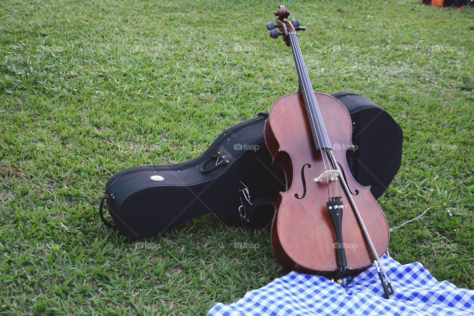 Music, Grass, Instrument, Musician, Lawn