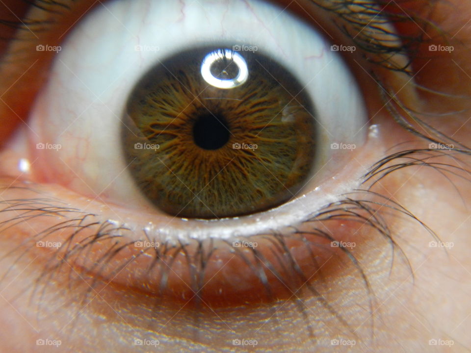 close-up of human eye with details of light brown iris