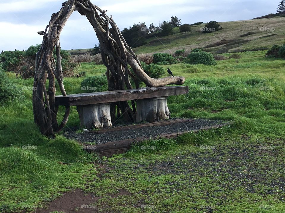 Driftwood benches