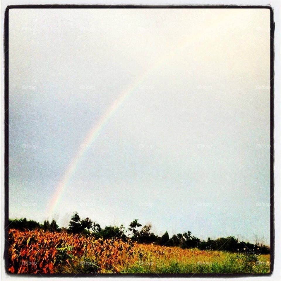 rainbow mexico campo arcoiris by alfonso_ivan