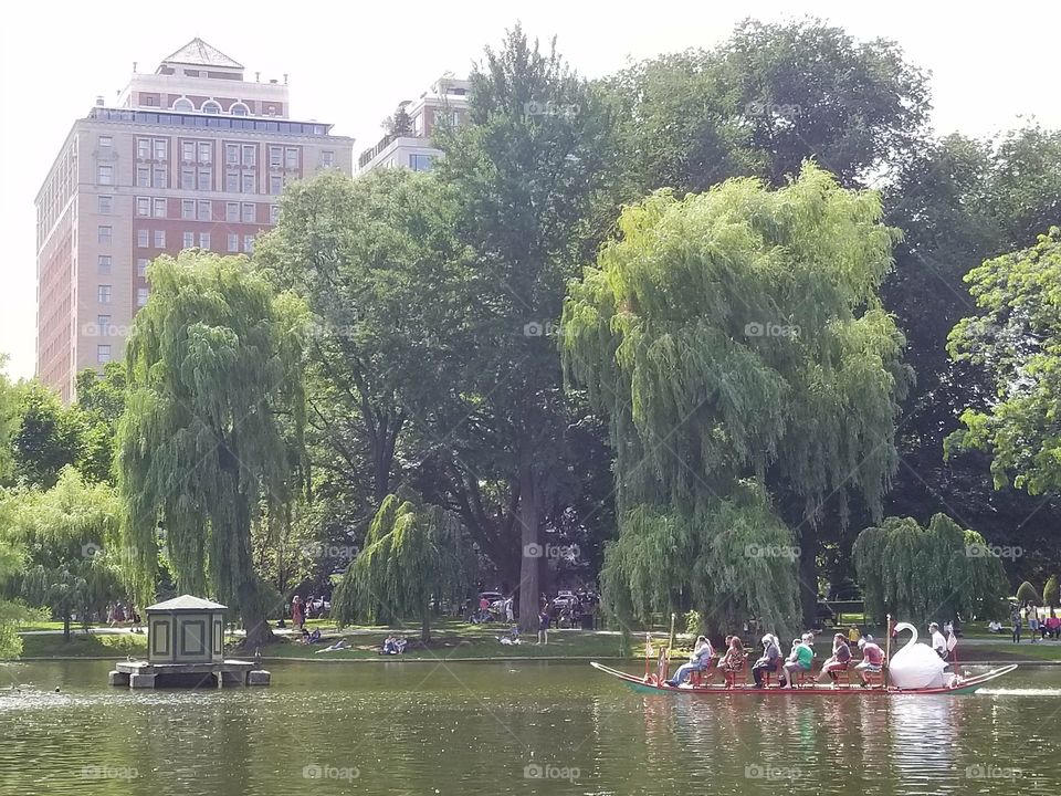 Public Garden