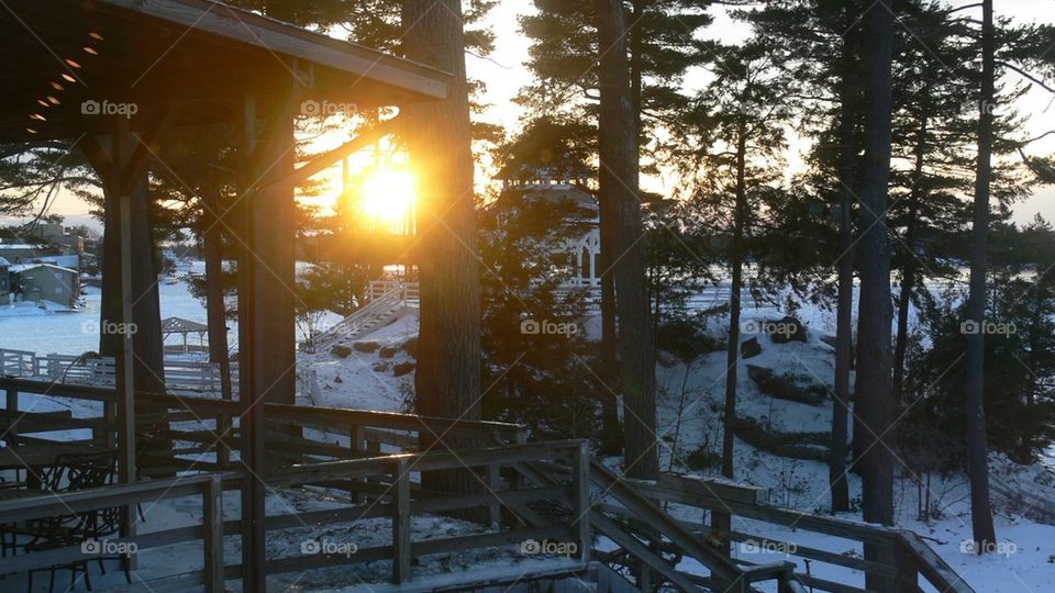 Peaking through the trees