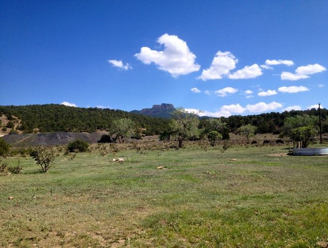 Trinidad Mesa