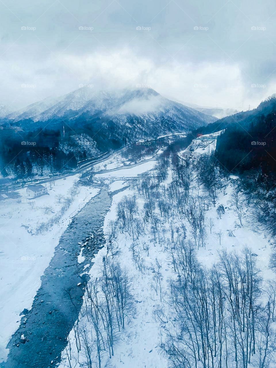 beautiful view of snowfall in morning