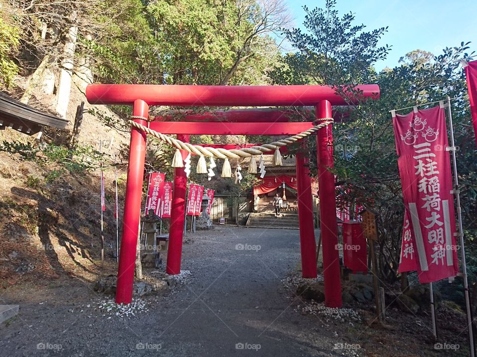 torii　shrine