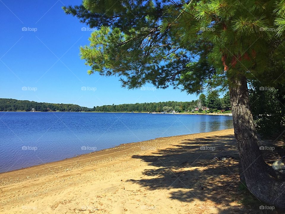 Beach and lake on a clear sunny day 