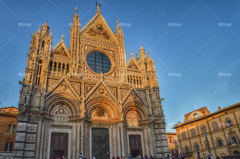 Catedral de Siena (Siena - Italy)