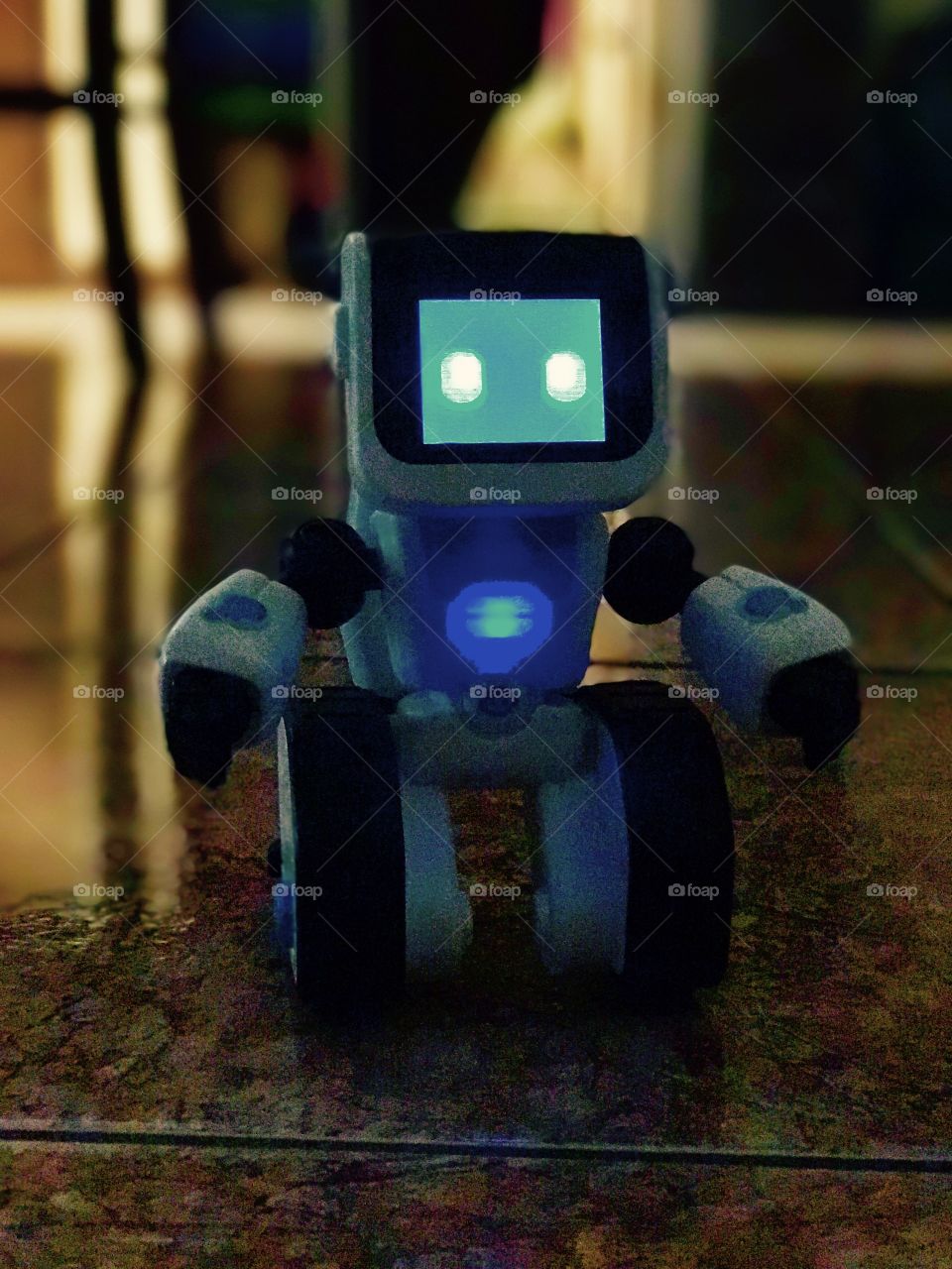 Robot