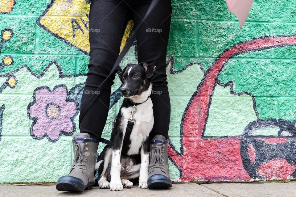 Person and pet dog standing in front of a building mural street art 