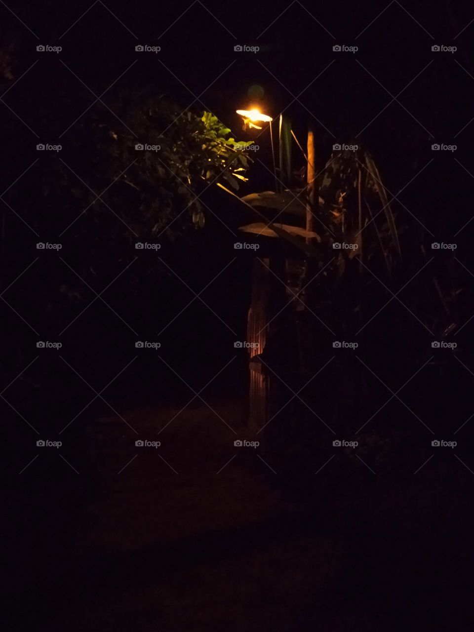 I prefer the atmosphere at night