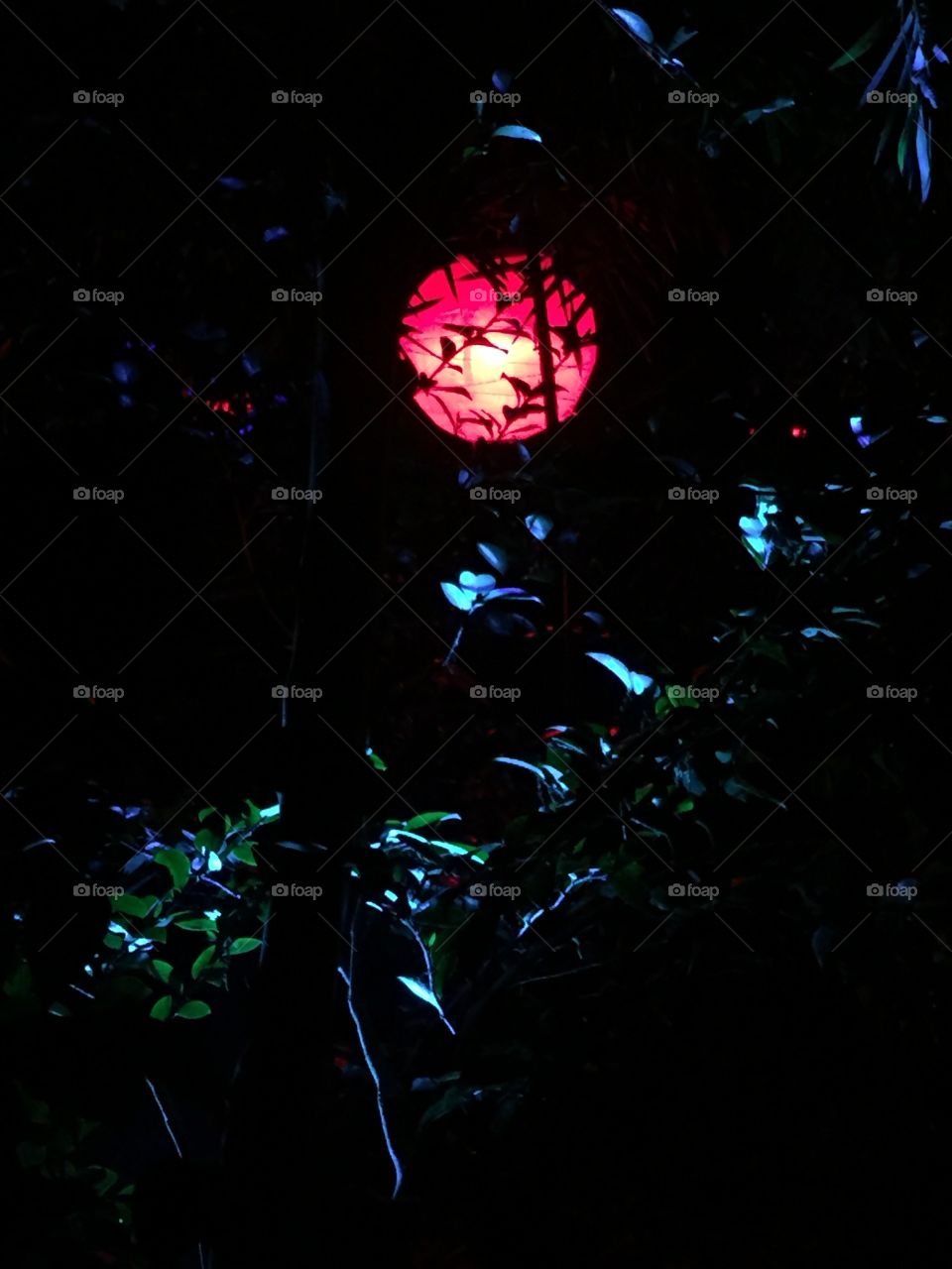 Paper Lantern in the Dark