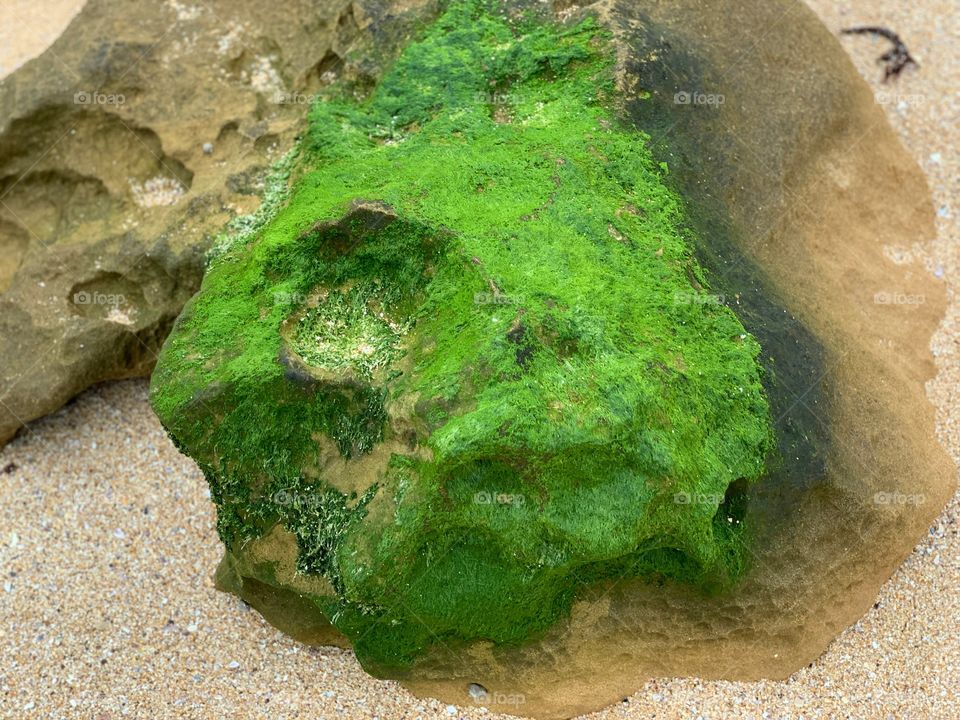 Les rochers de la mer 
