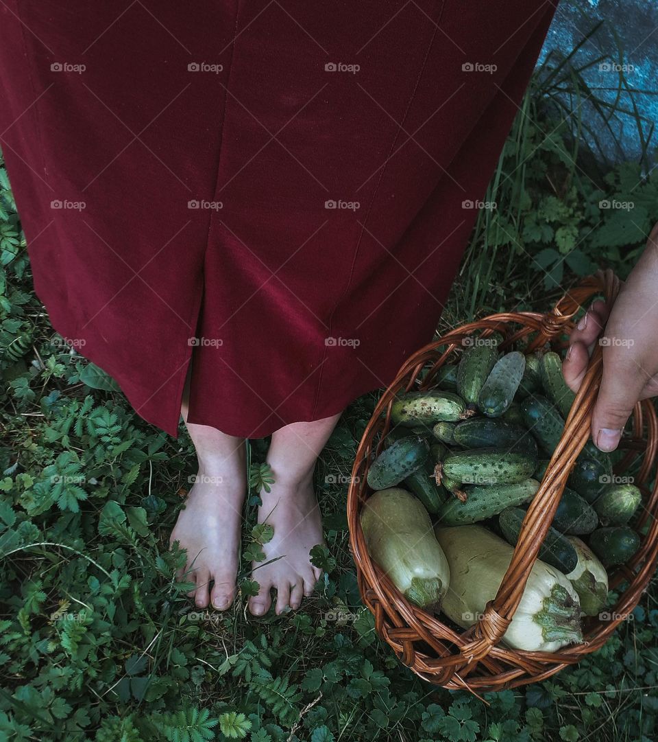 Vegetables from the home garden