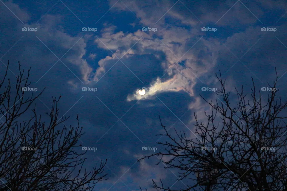 Sky
