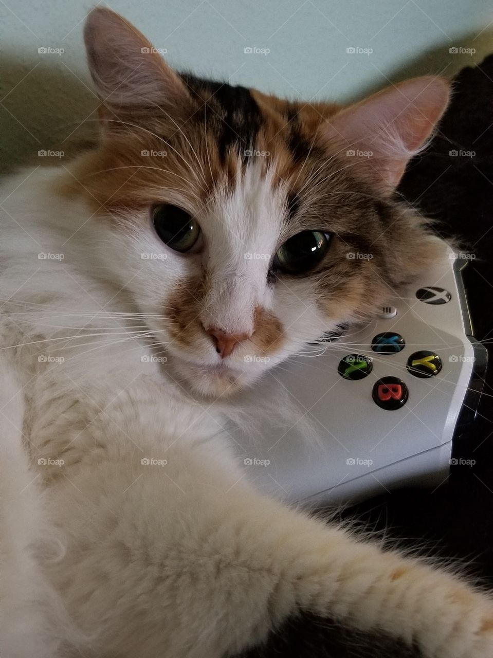 Gaming Buddy