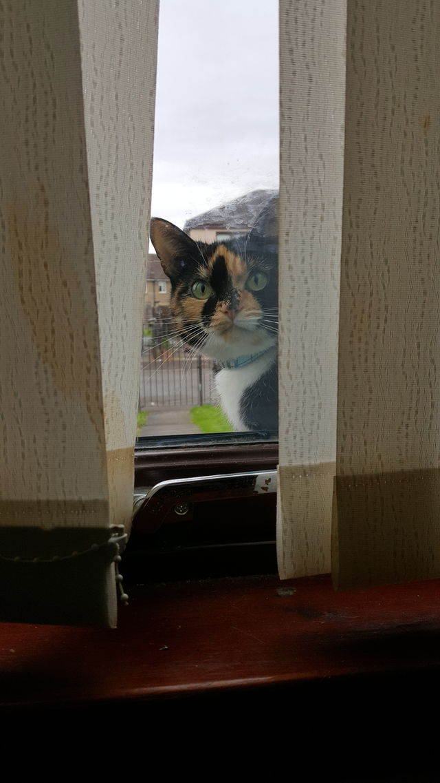 locked out!