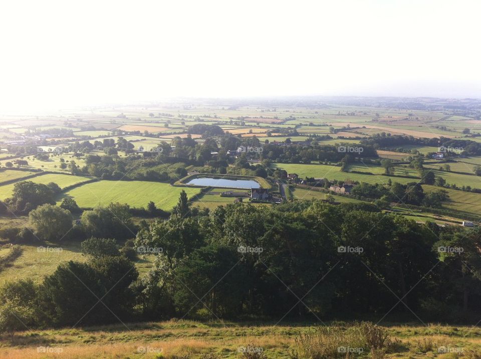 Glastonbury fields