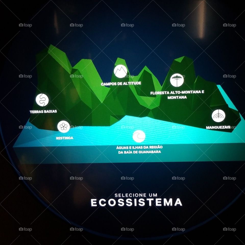 Ecossistema