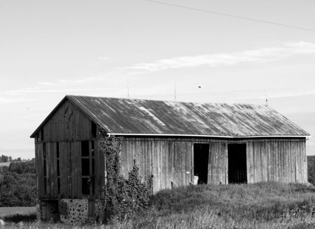 Barn Beauty #2