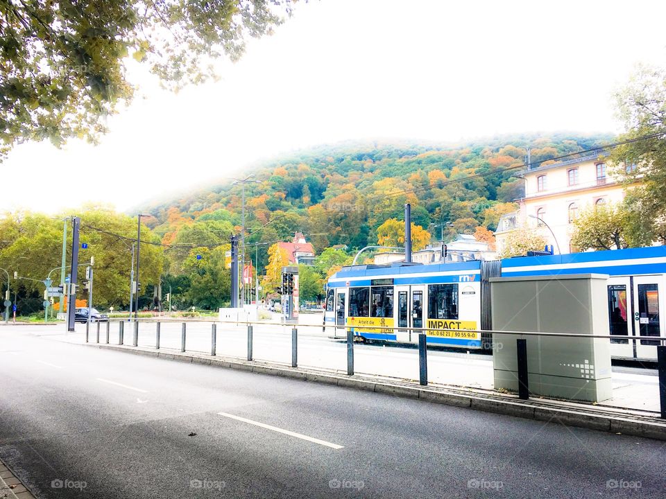 heidelberg autumn tram