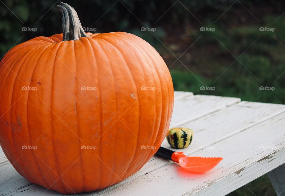 Prepping to carve the pumpkin 