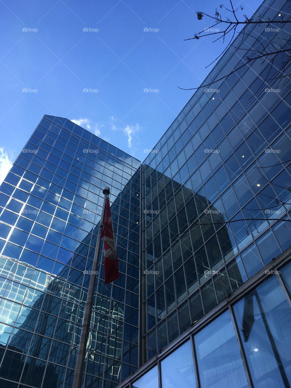 Glass building with Canadian flag.
