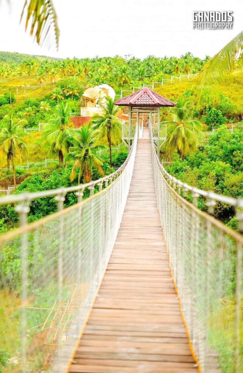 Stuning hanging Bridge to trail