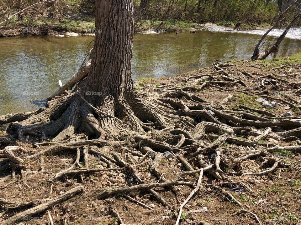 Spring time at the creek