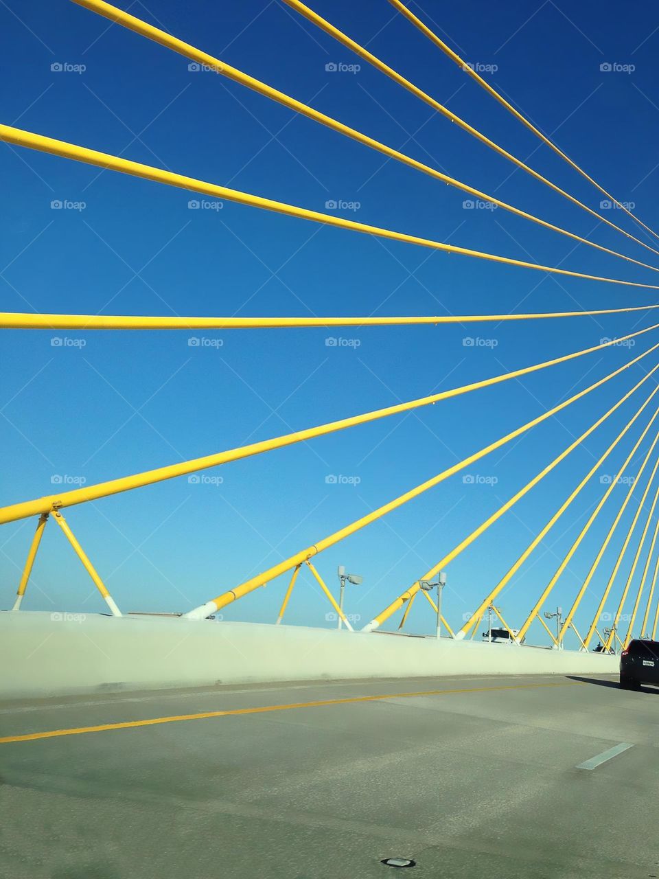 The distinctive yellow poles of the Sunshine Skyway Bridge.