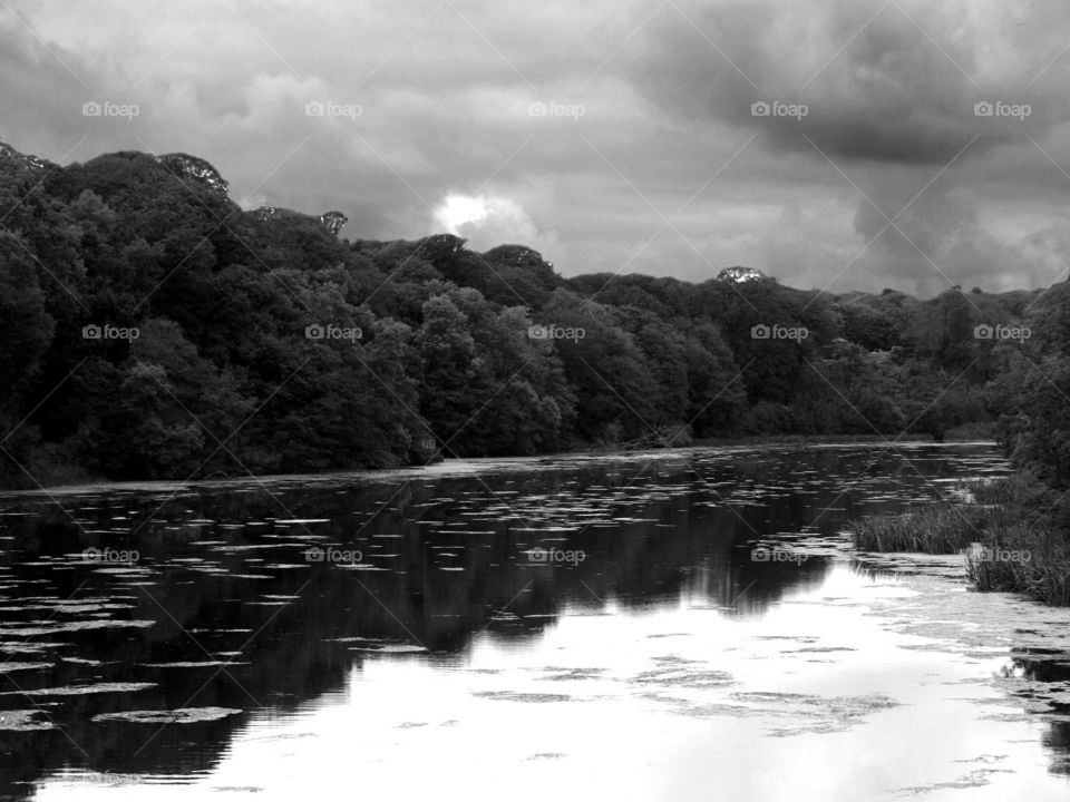 Water, River, No Person, Landscape, Tree