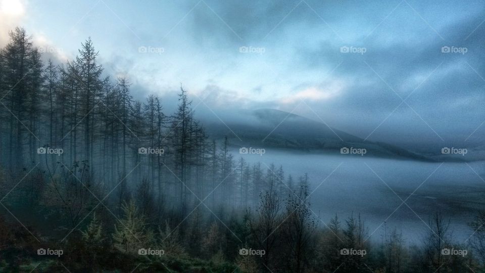Blue mist 