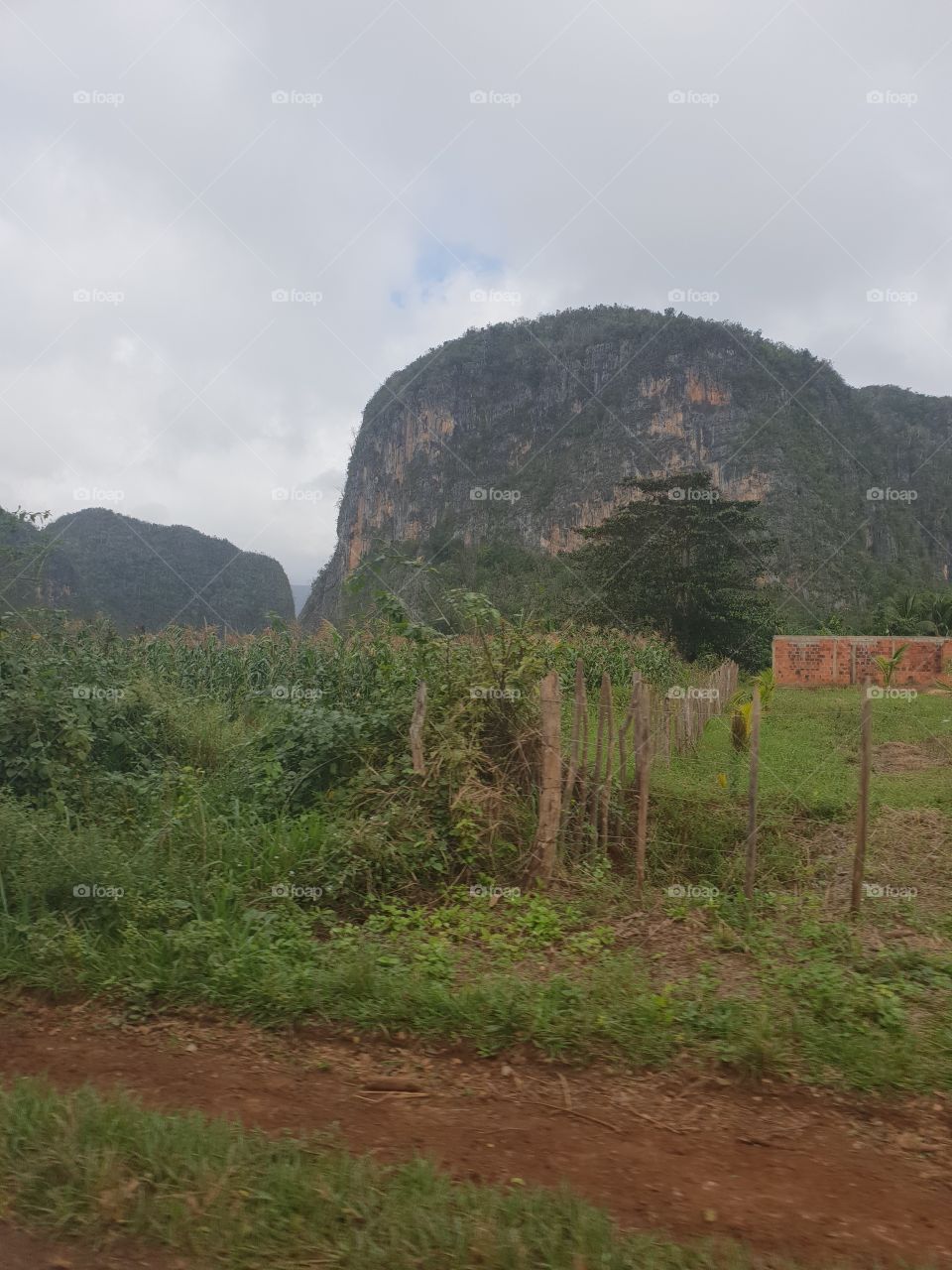 Viñales