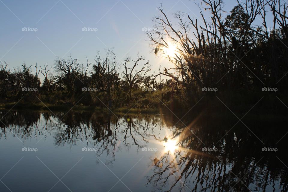 Sunset in Ocoee Florida 