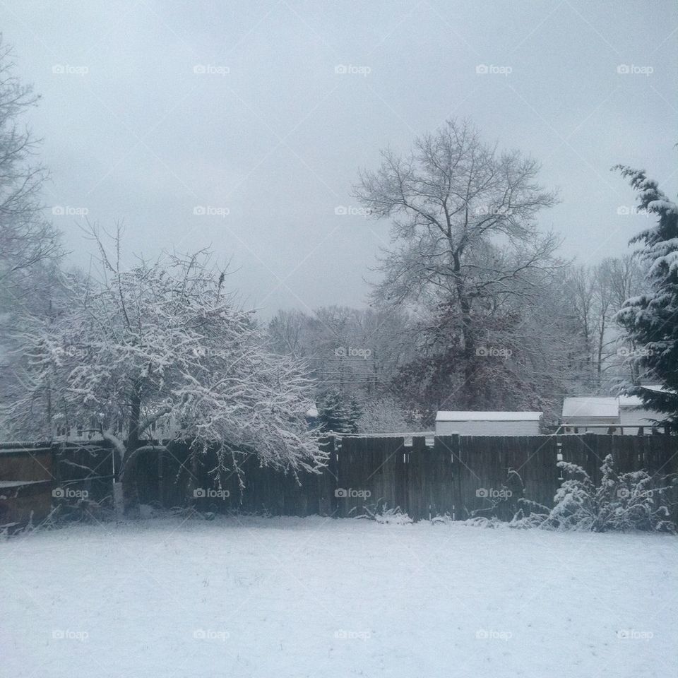 snoww