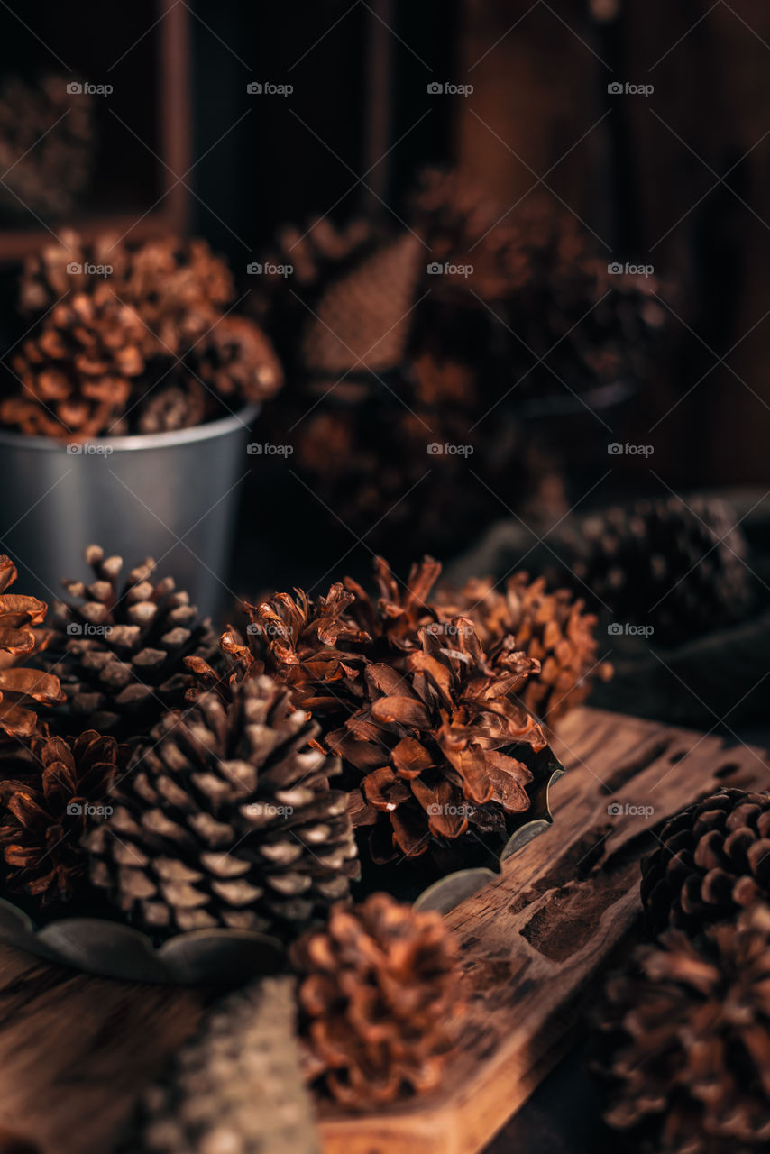Dry pine cones
