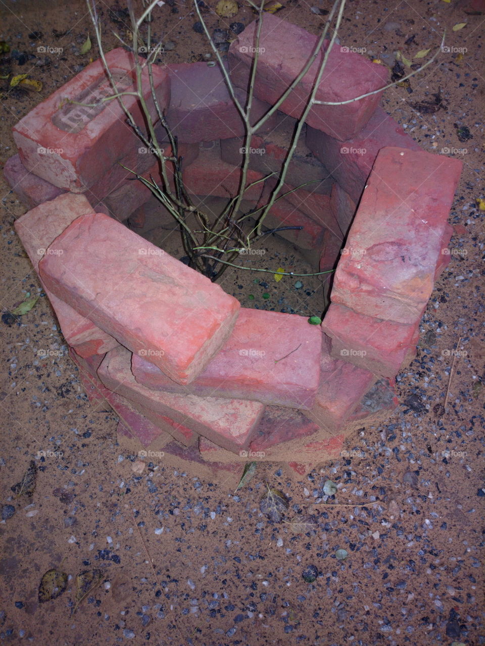 tree guard in a village