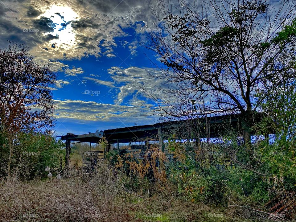 Abandoned Shed 2 