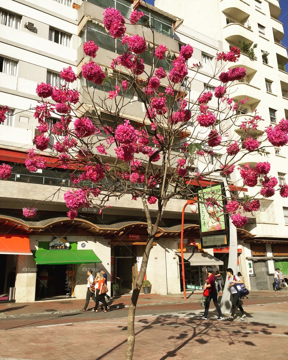 Liberdade São Paulo