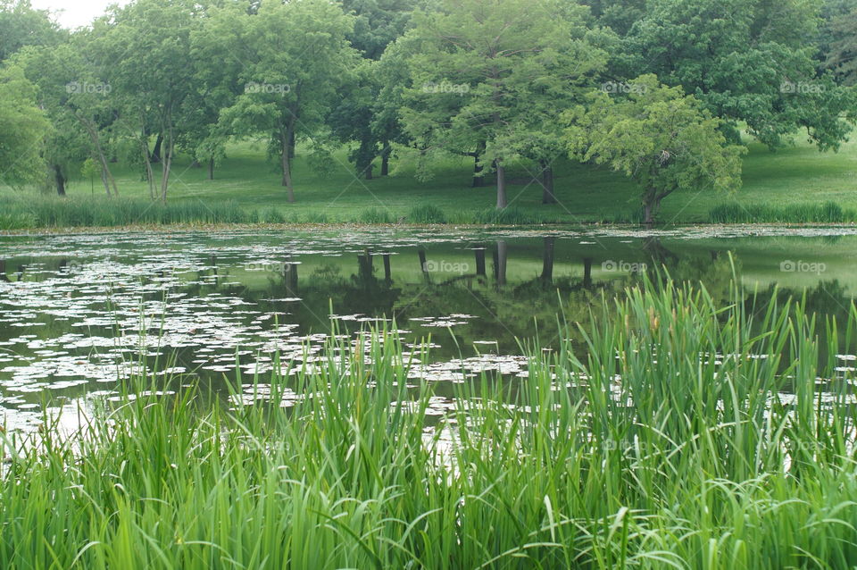 Potter lake. On the KU campus