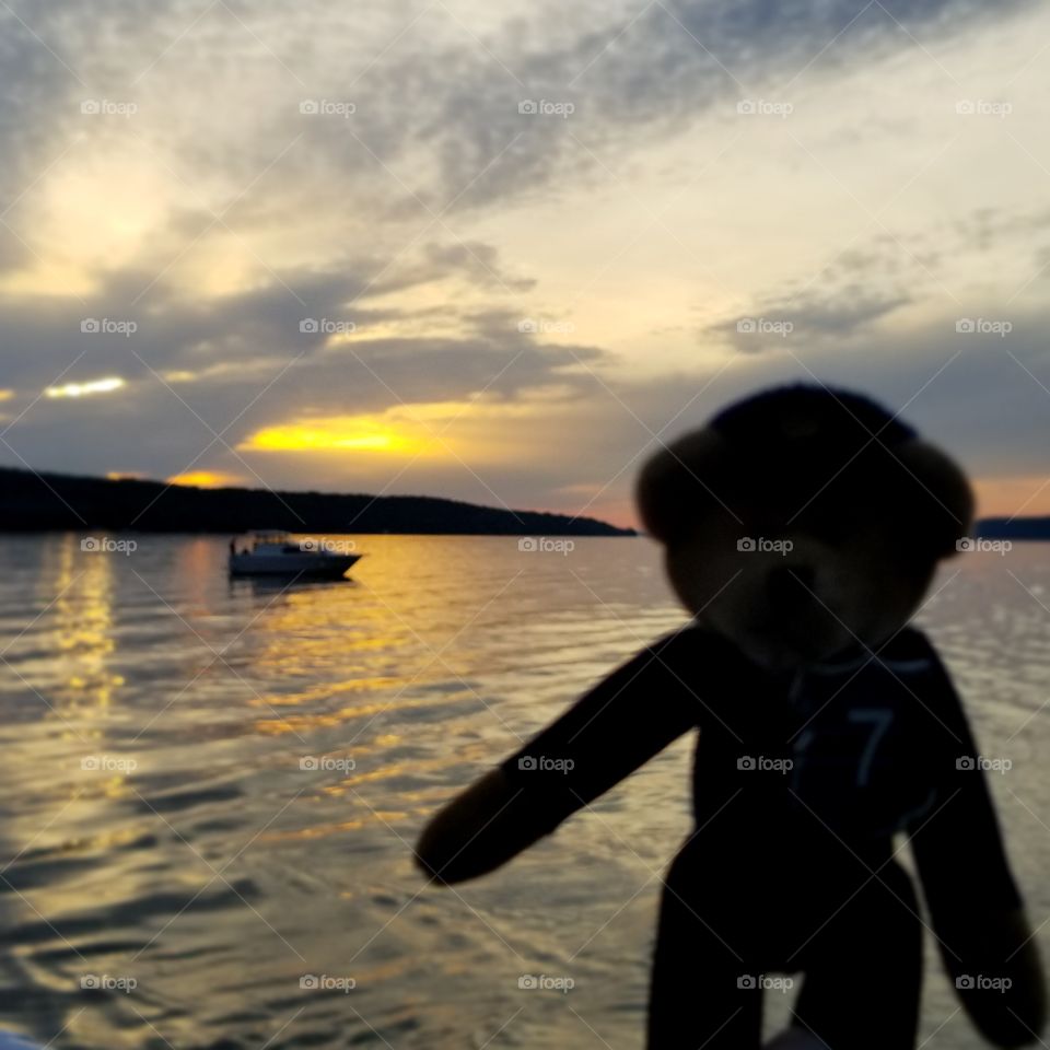 Lil' Kev Bear Taking in the Sunset