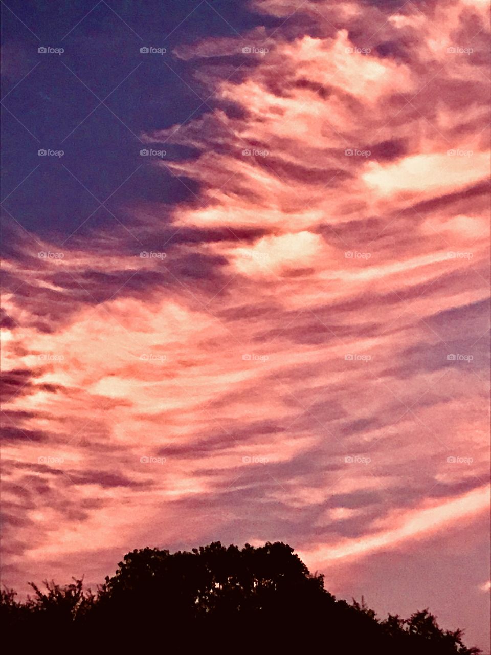 The Pink Clouds is of scary nature. Almost center top you can make out a Pigs Head with Snoot / Nose. 