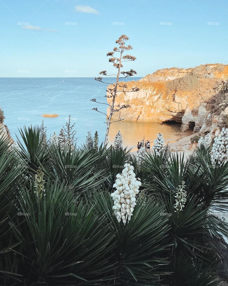 Beautiful sunset on the beach