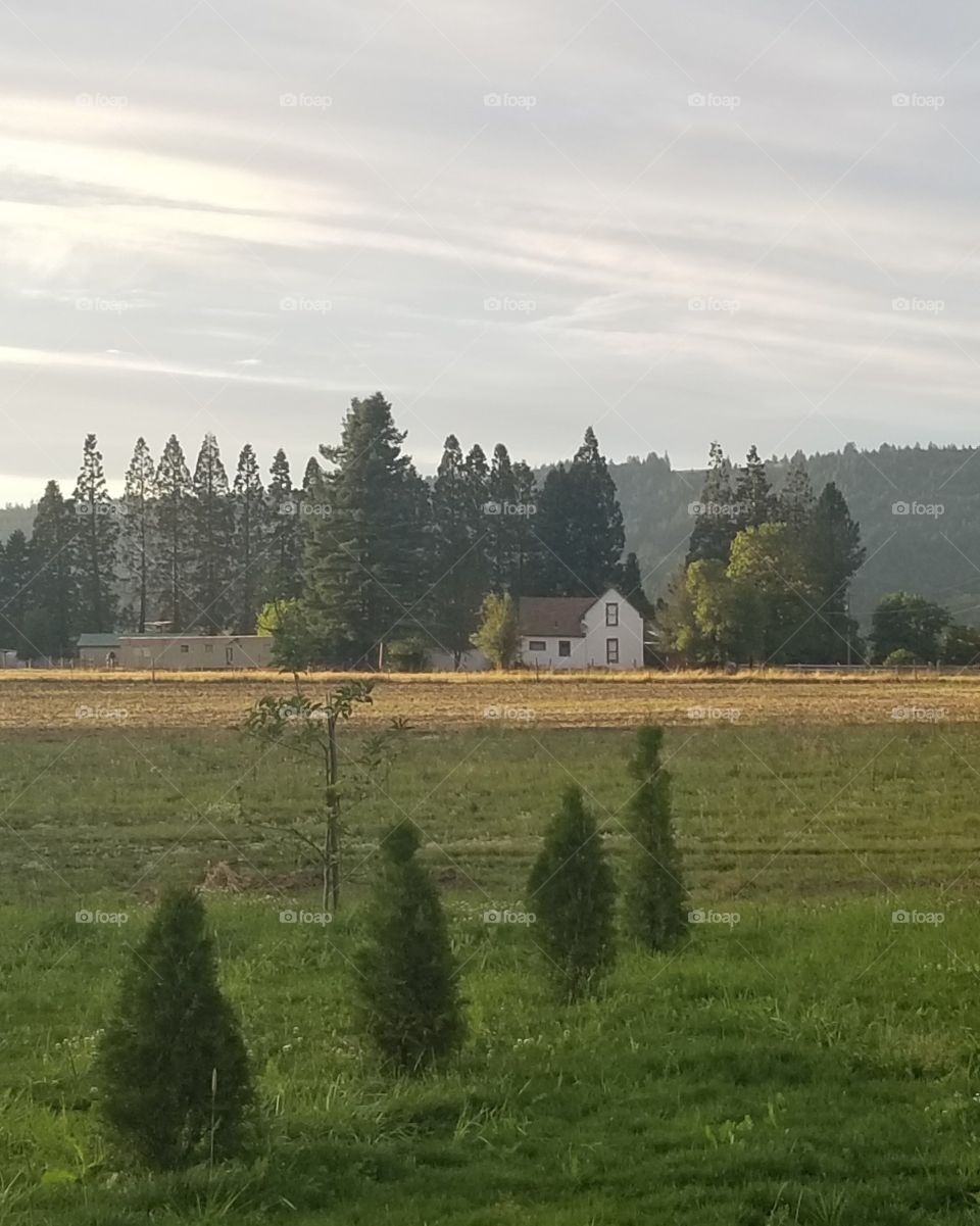 house on a farm
