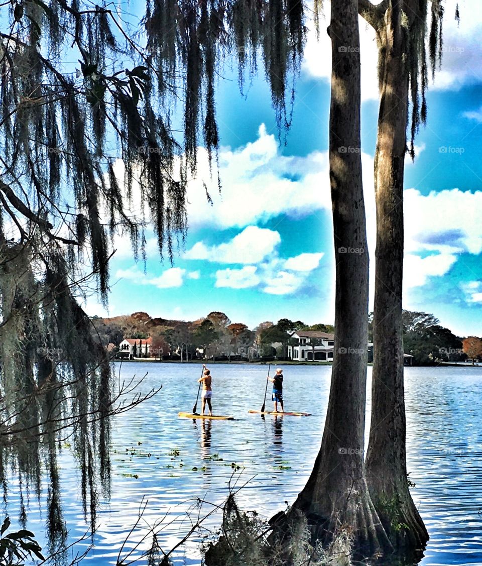 Water, Reflection, Lake, Tree, Nature